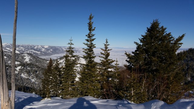 20150101_104017.jpg
