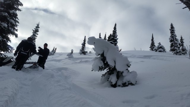 20150102_112619.jpg