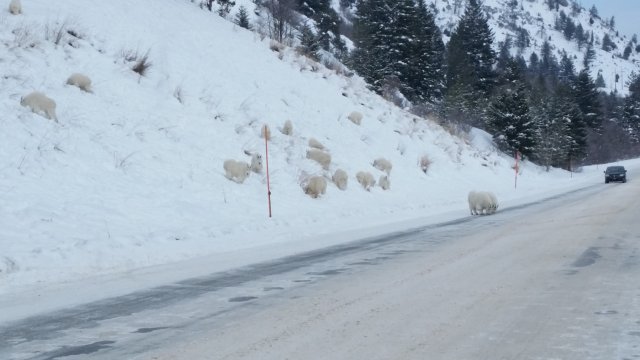 20150103_132941.jpg