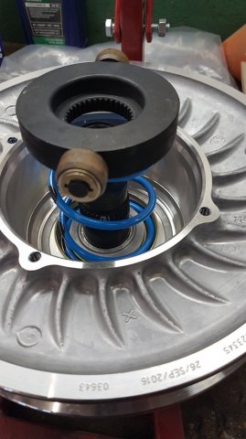 20161118_101527 copy.jpg