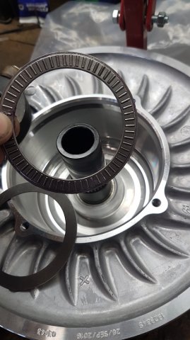 20161118_101812 copy.jpg