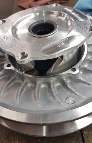 20161118_102338 copy.jpg