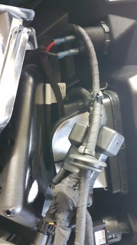 20161120_122344 copy.jpg