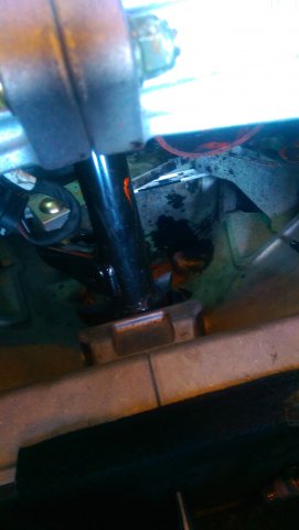 IMAG0459.jpg