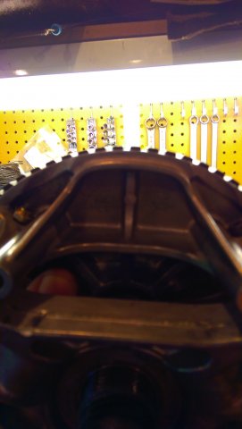 IMAG0644.jpg