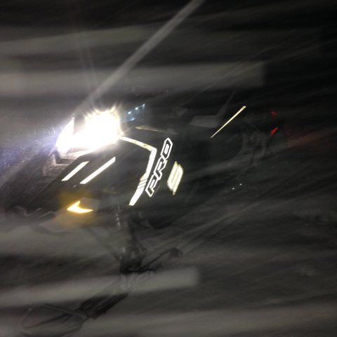 IMG_2528.jpg