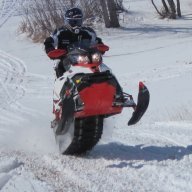 TheBadger