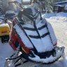 Squamishsledski