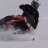 xcr800man