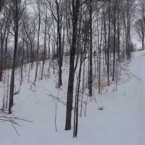 Polaris Pro X climbing a rutted out hill in Munising MI