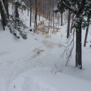 Kari, where we just dug her out of.