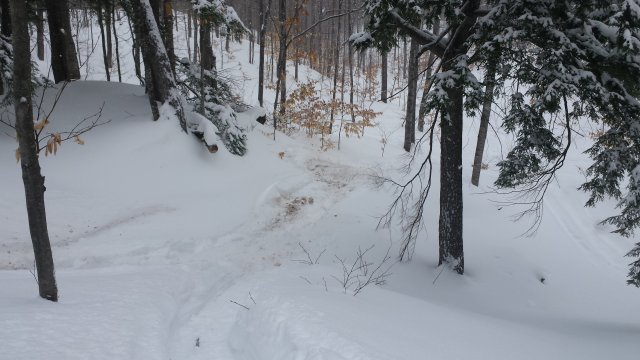 Kari, where we just dug her out of.