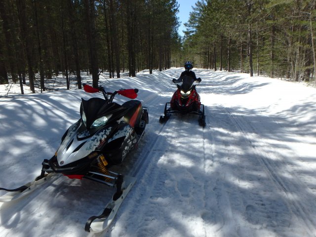 Spring Testing