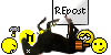 :Deadhorse